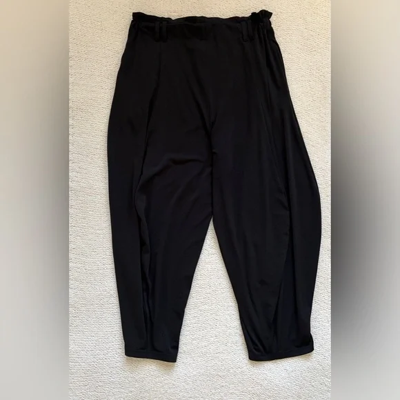 Anthropologie Paper Bag Black Pants Loose Fit Harem Barrell Leg Ankle Size SP - Picture 2 of 8